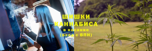 mix Новодвинск