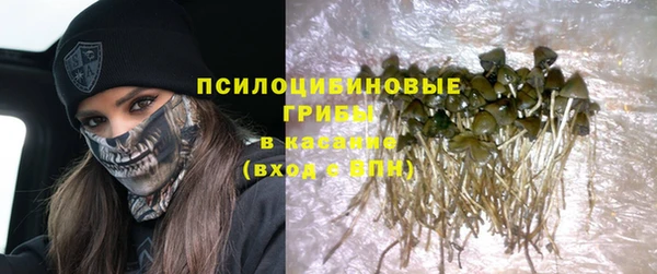 каннабис Новозыбков